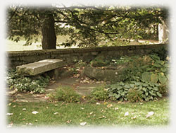 Higgins House lawn